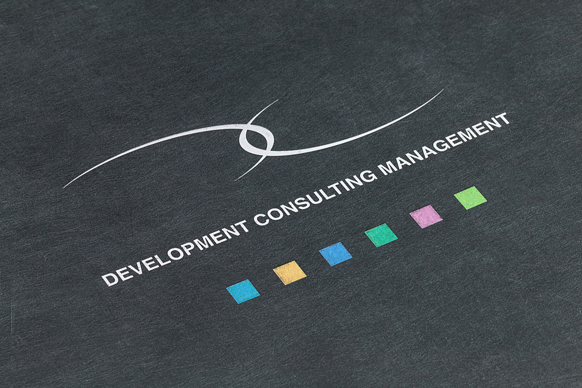 Development Consulting Management - Брошюра